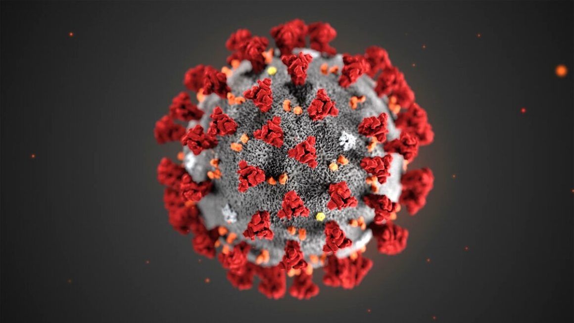 Il Coronavirus e il vaccino tecnologico