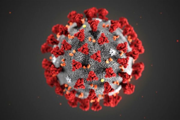 Il Coronavirus e il vaccino tecnologico
