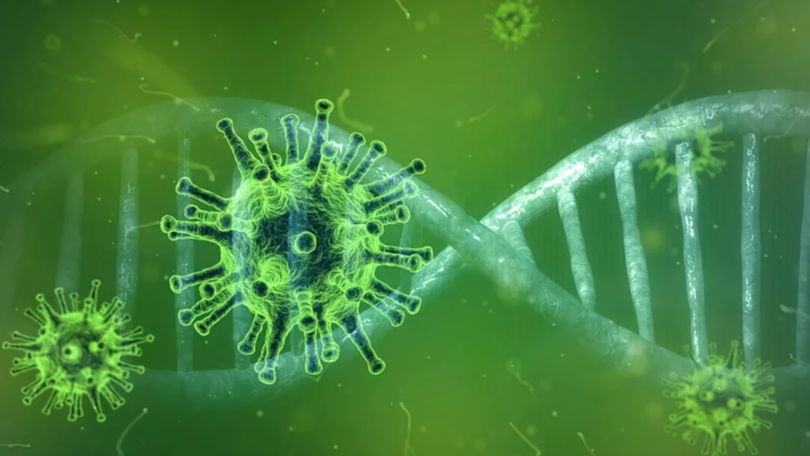 Coronavirus: l’epidemia nei social network